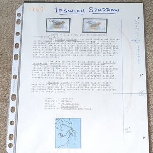 Ipswich Sparrow Home Design Stamp